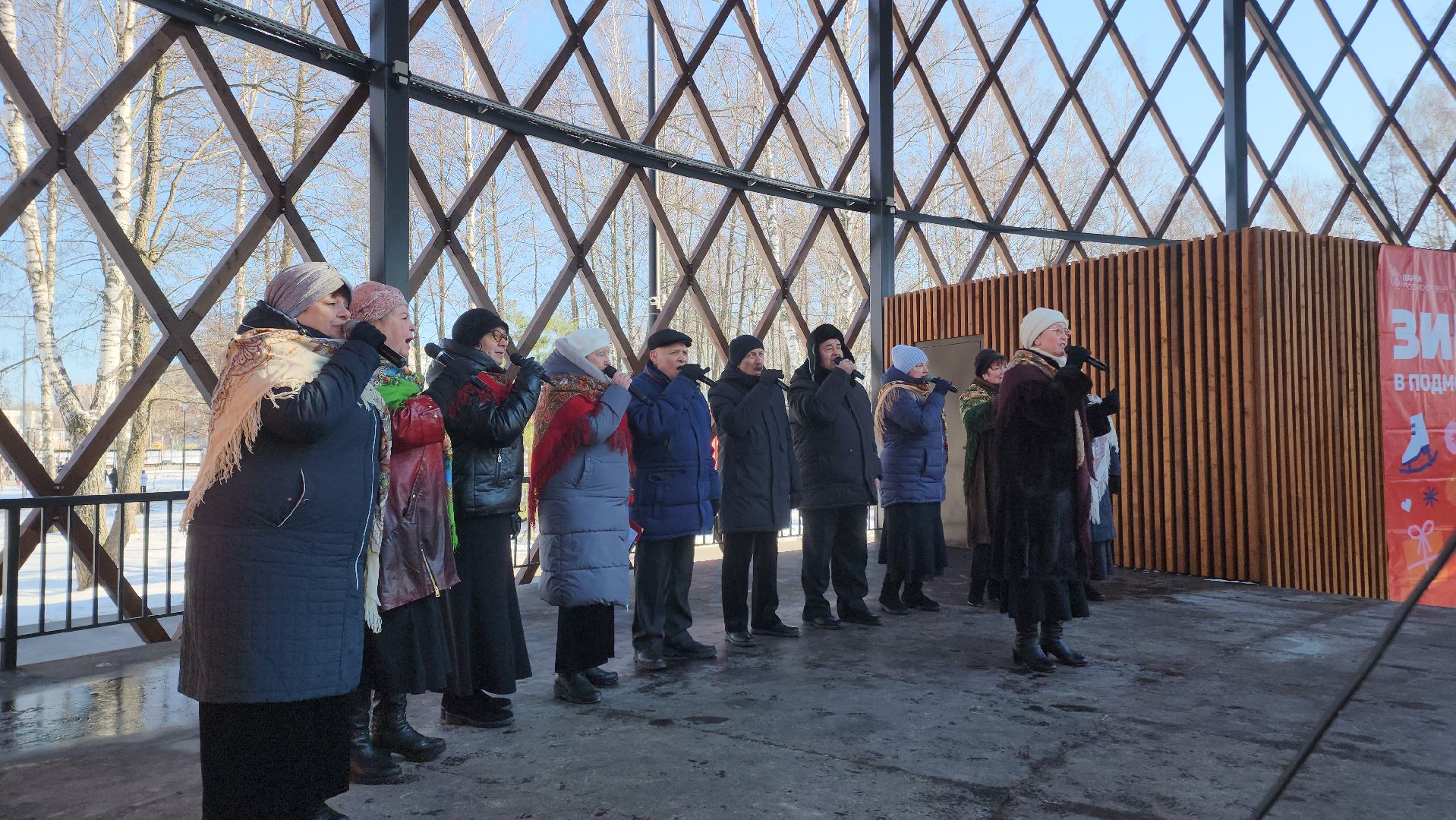 Егорьевск, вертикалки, Подмосковье, Московская область,