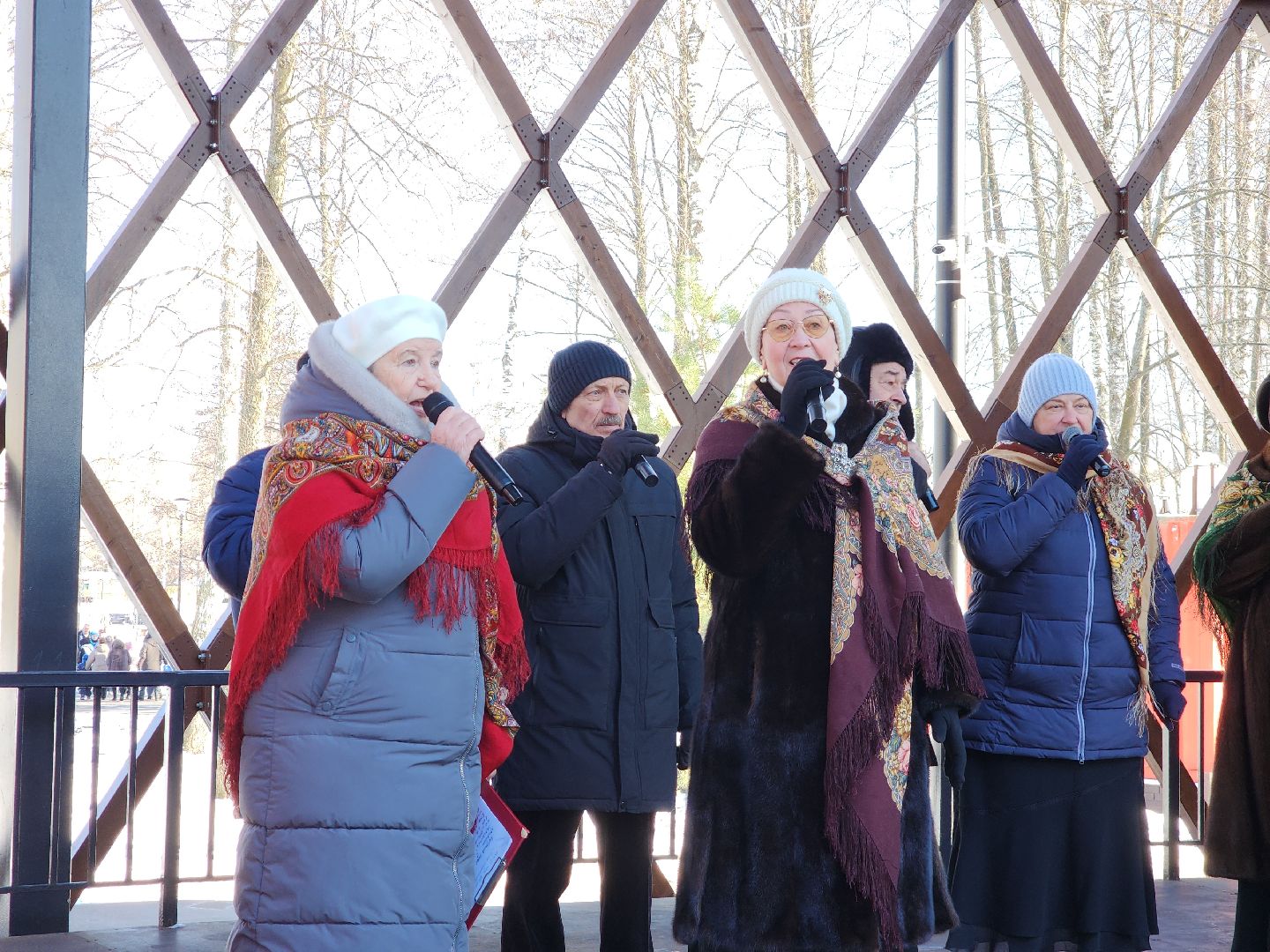 Егорьевск, вертикалки, Подмосковье, Московская область,