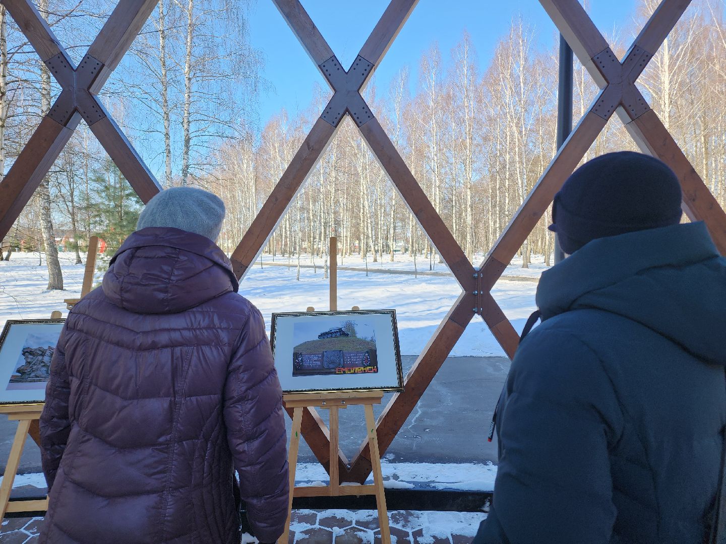 Егорьевск, вертикалки, Подмосковье, Московская область,