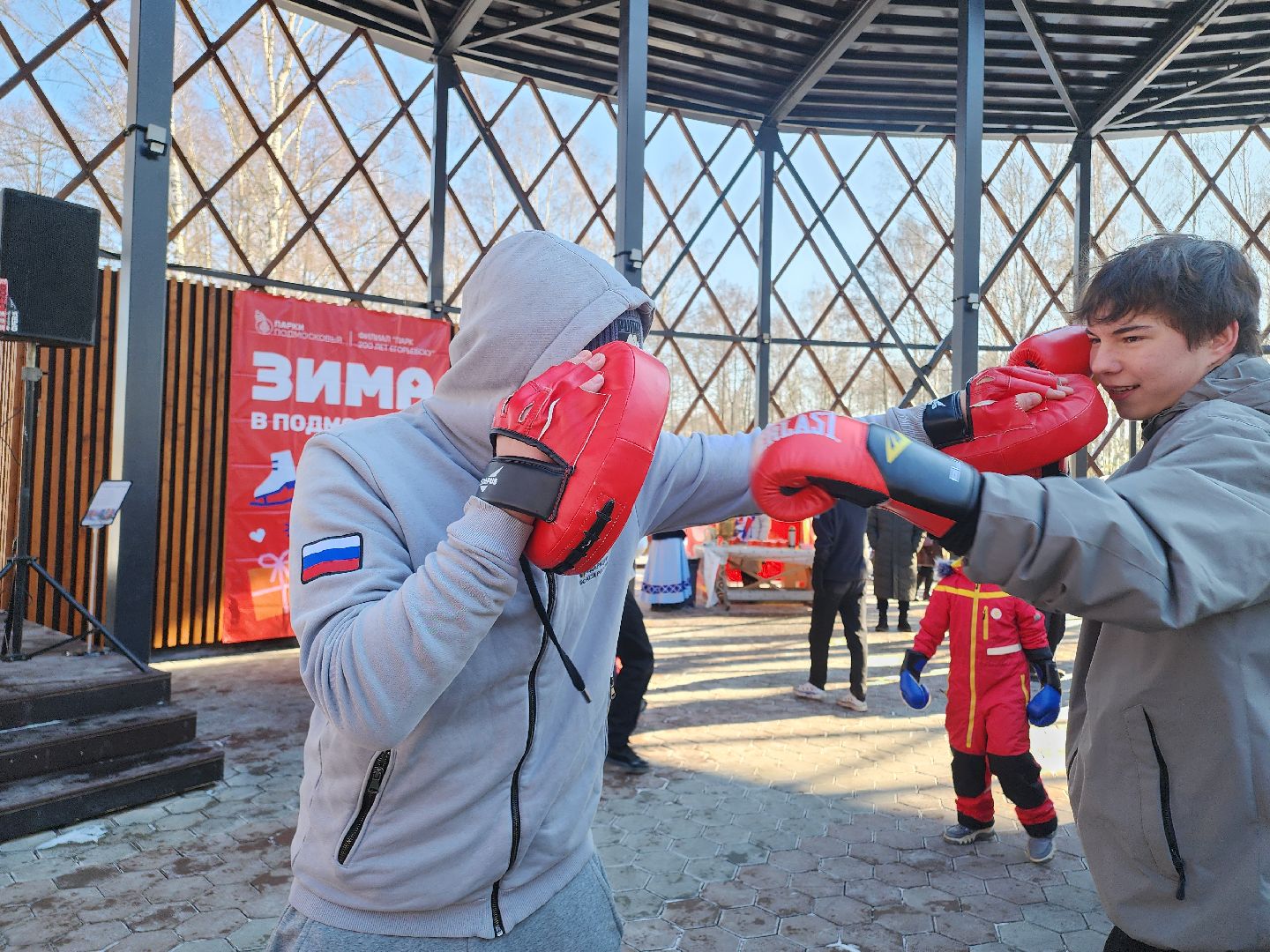 Егорьевск, Подмосковье, Московская область, вертикалки,