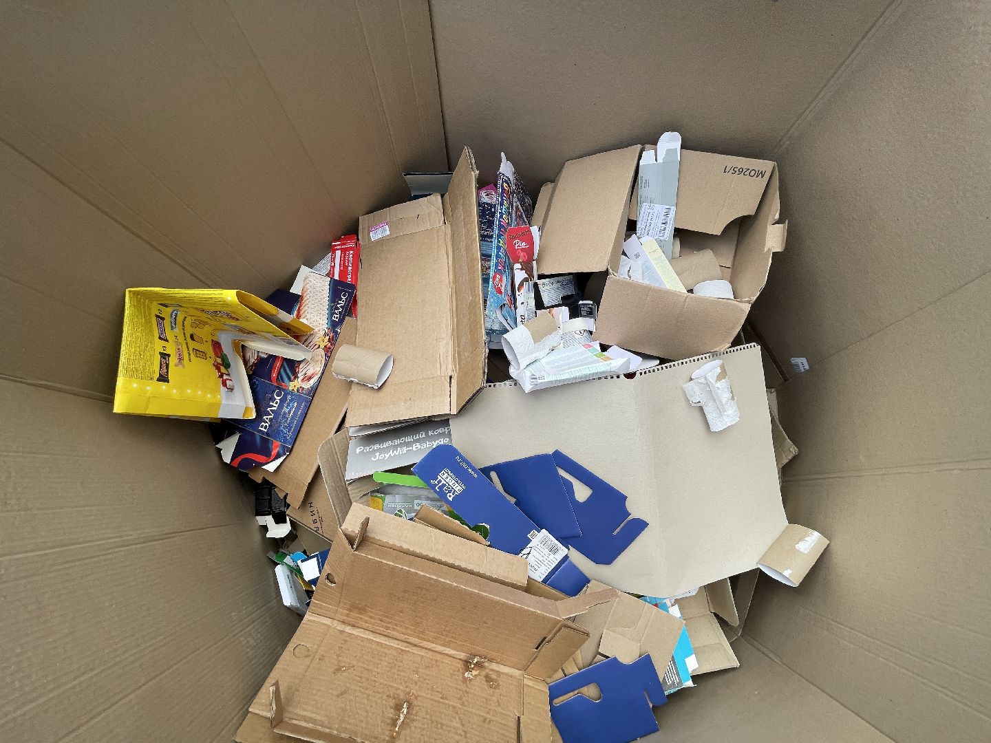 Одинцово, Лесной Городок, экология, раздельный сбор, утилизация, переработка, акция,