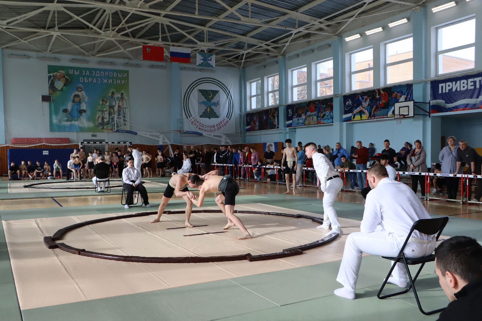 всероссийский турнир по сумо памяти пи романова, спорт, серебряные пруды, ск молодежный,