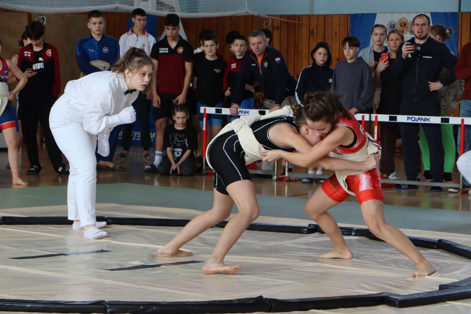 всероссийский турнир по сумо памяти пи романова, спорт, серебряные пруды, ск молодежный,