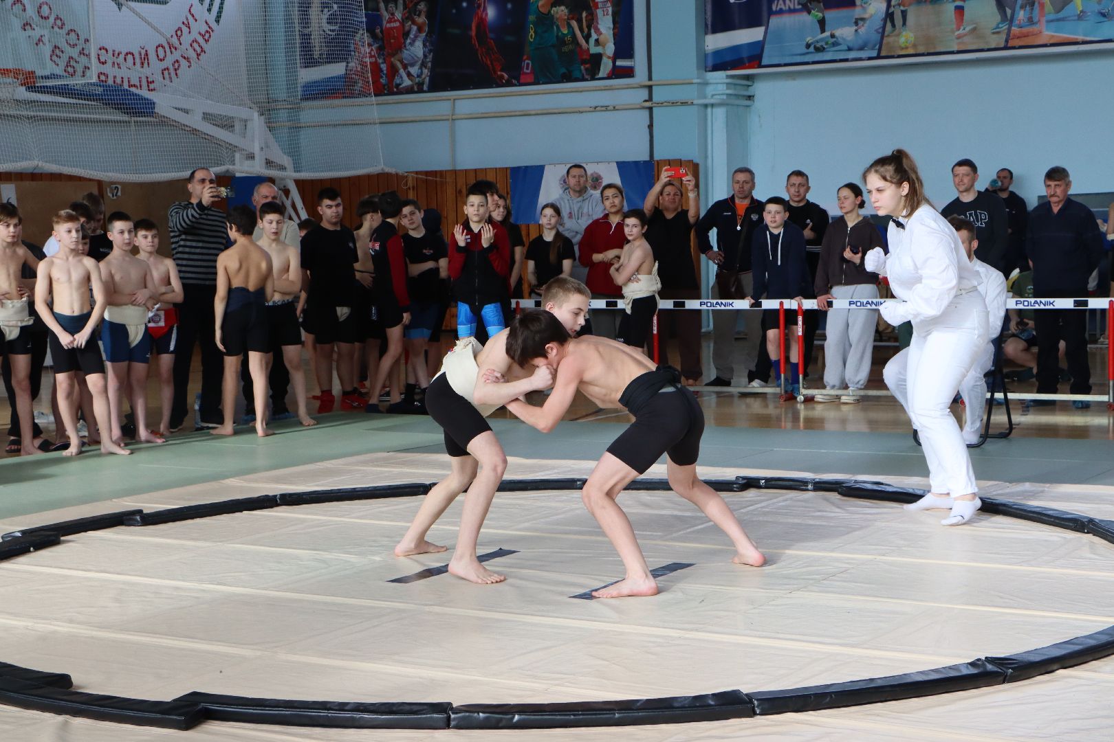 всероссийский турнир по сумо памяти пи романова, спорт, серебряные пруды, ск молодежный,