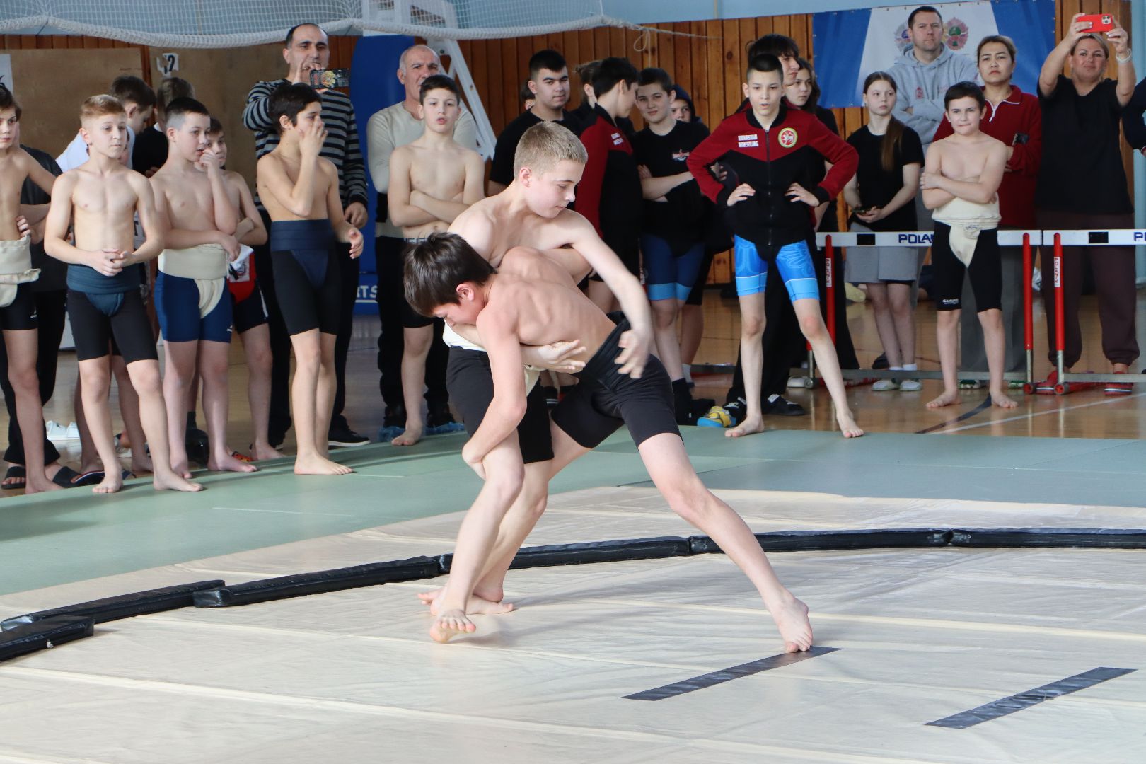 всероссийский турнир по сумо памяти пи романова, спорт, серебряные пруды, ск молодежный,