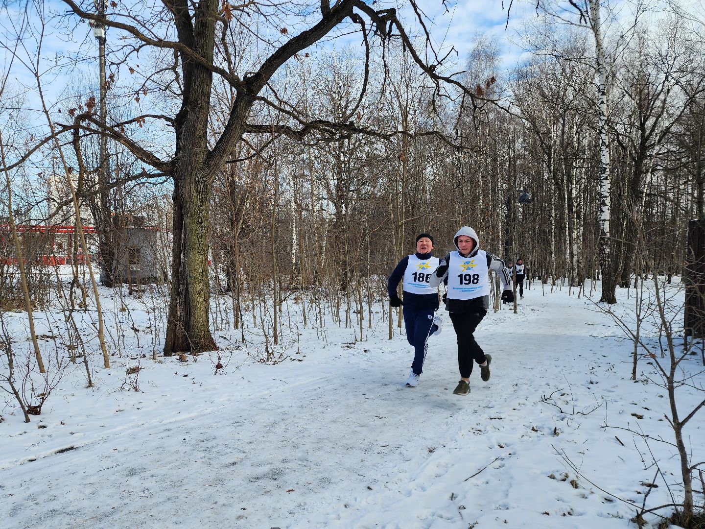 фрязино, кросс, спорт, день защитника отечества, лесопарк,