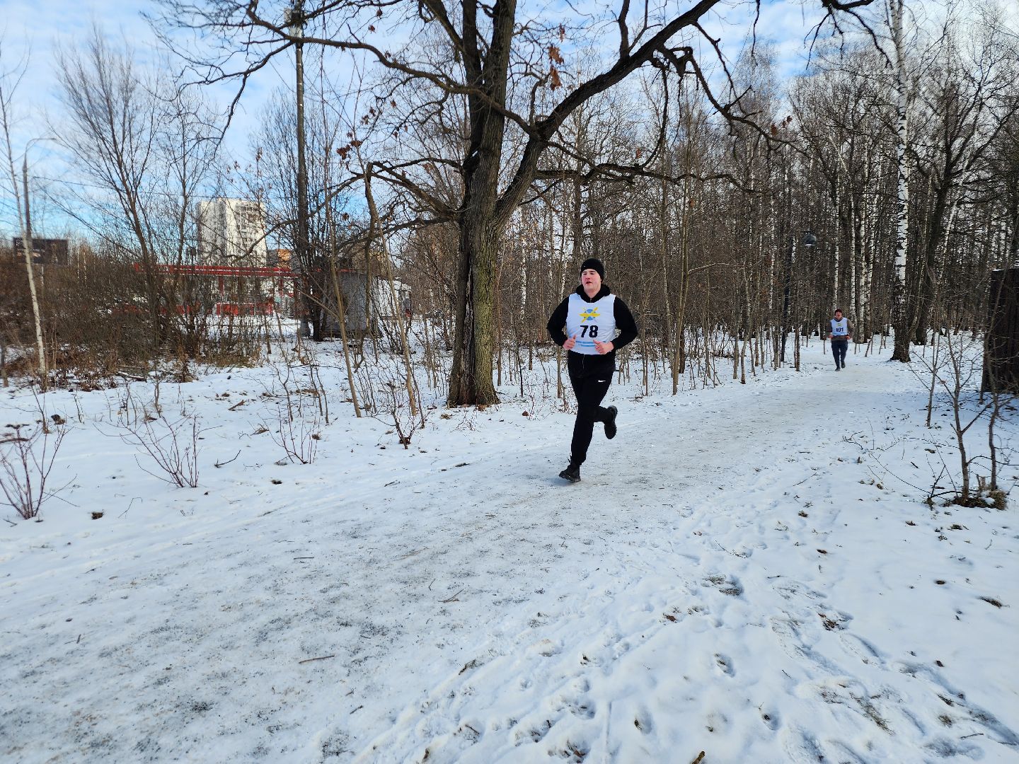 фрязино, кросс, спорт, день защитника отечества, лесопарк,