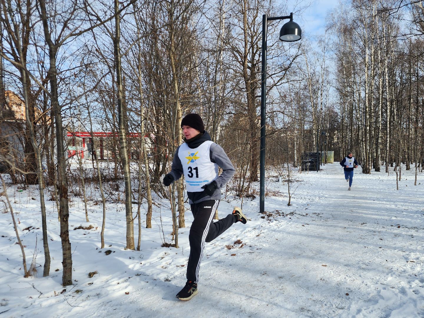 фрязино, кросс, спорт, день защитника отечества, лесопарк,