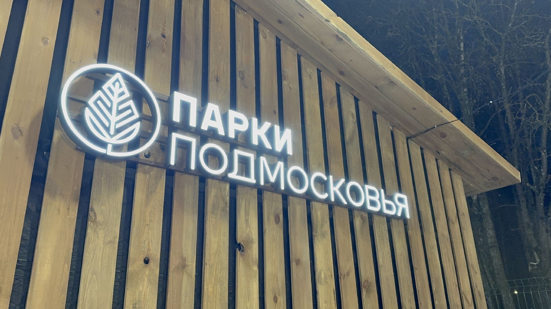 солнечногорск, дискотека на льду, вертикалки, жители, каток,