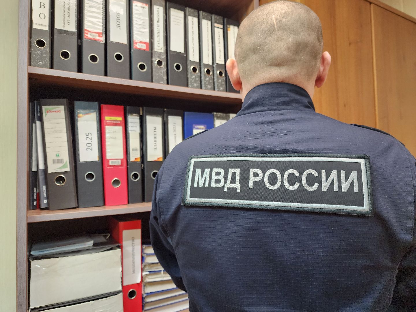 ногинск, полиция, мвд, герой, общество, вертикалки,
