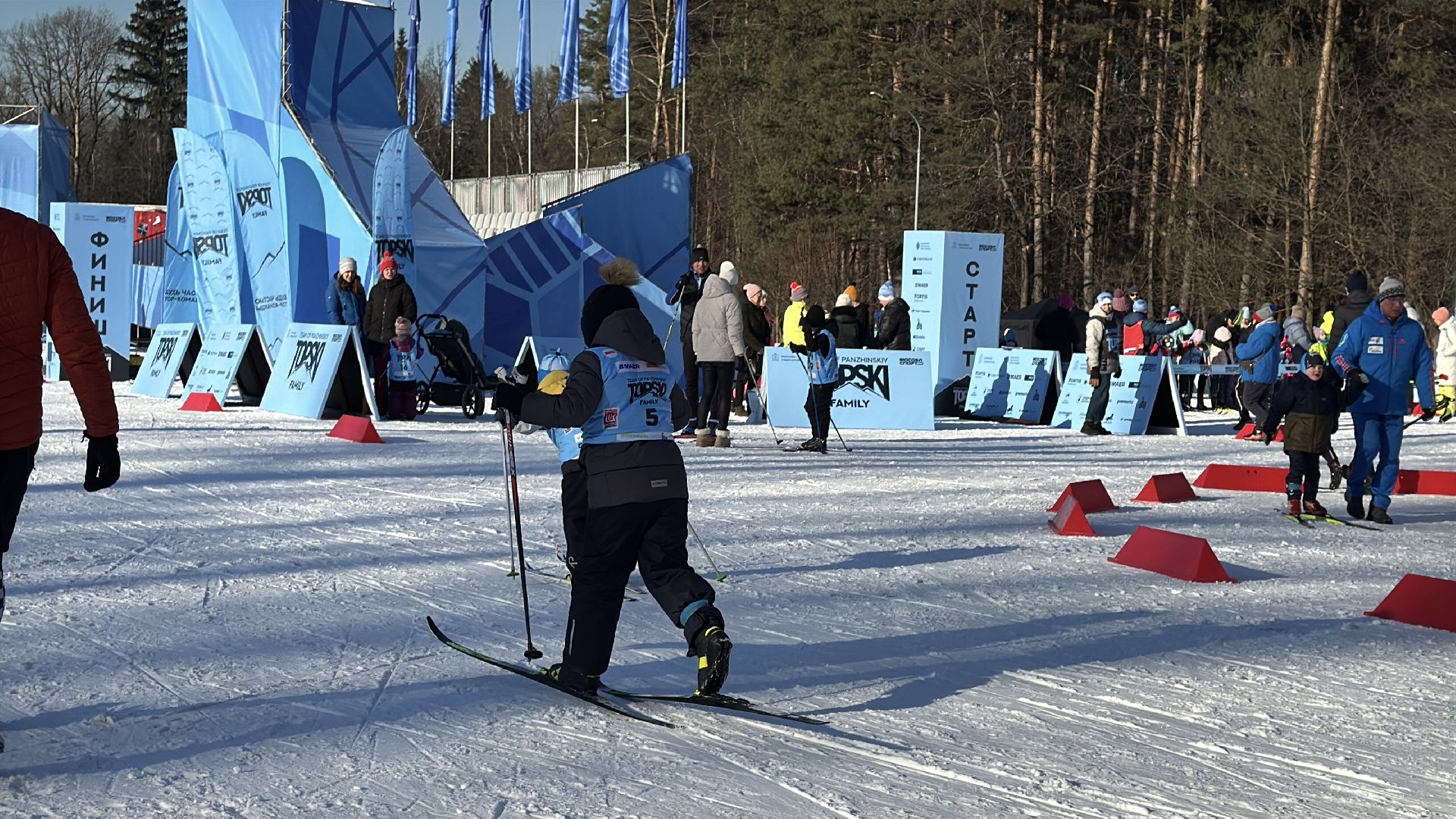 вертикалки, Лыжные гонки в Одинцово, одинцовский парк культуры спорта и отдыха, Александр Панжинский,