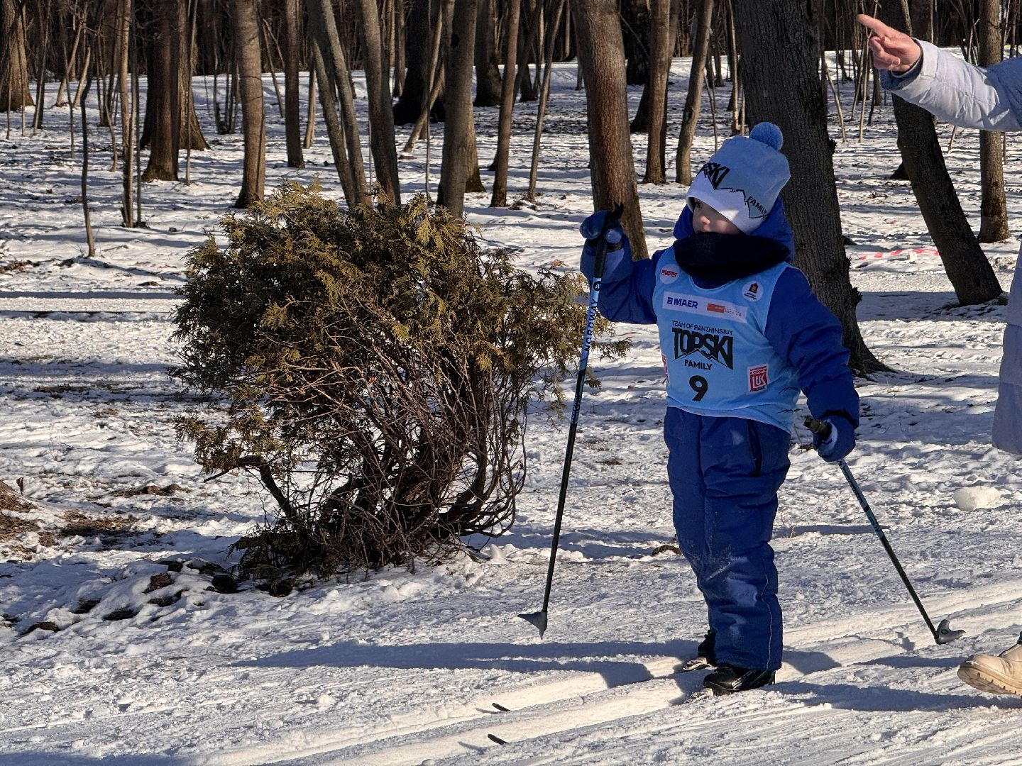 вертикалки, Лыжные гонки в Одинцово, одинцовский парк культуры спорта и отдыха, Александр Панжинский,