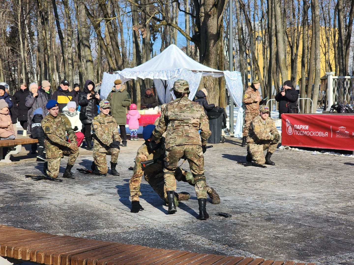 воскресенск, день защитника отечества, парк кривякино,