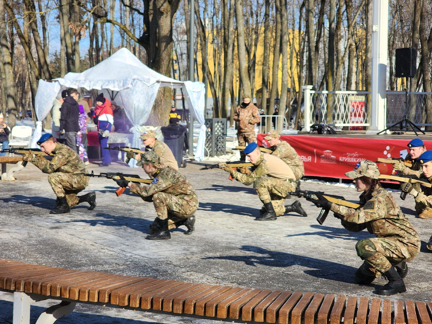 воскресенск, день защитника отечества, парк кривякино,