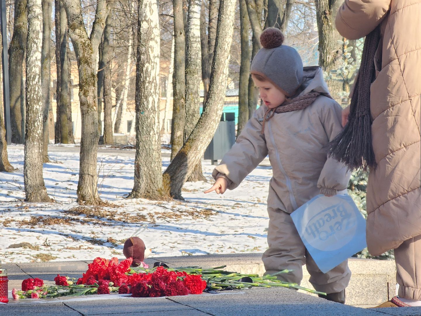 Зарайск, Луховицы, вертикалки, День защитника Отечества, Автопробег Луховицы-Зарайск,