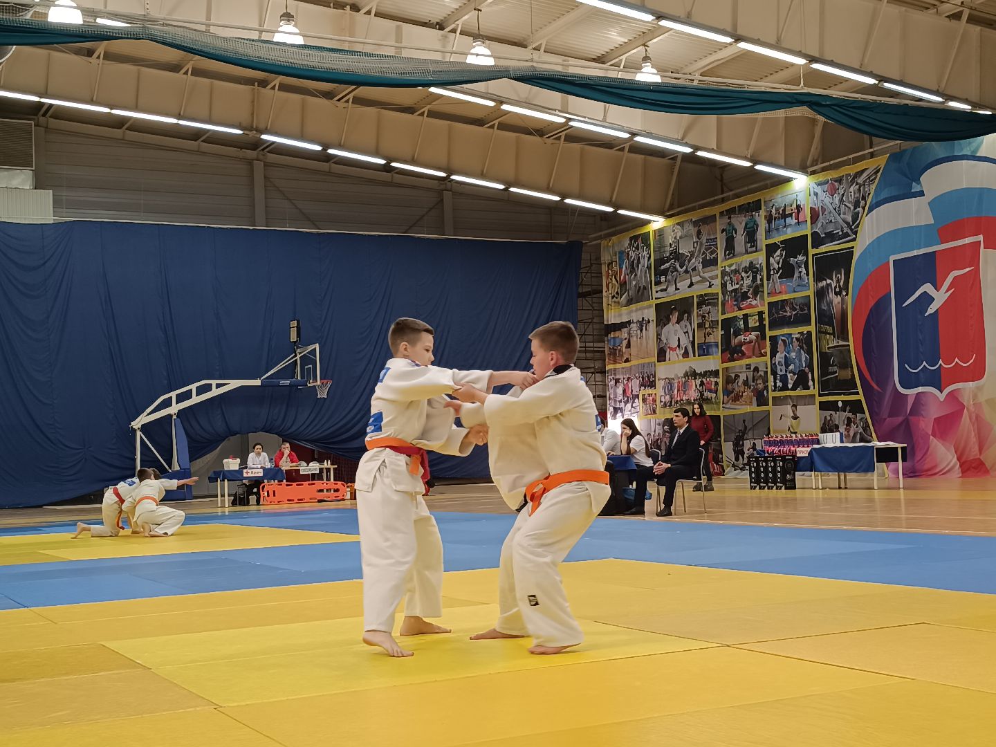 полиция, дзюдо, лобня, вертикалки,