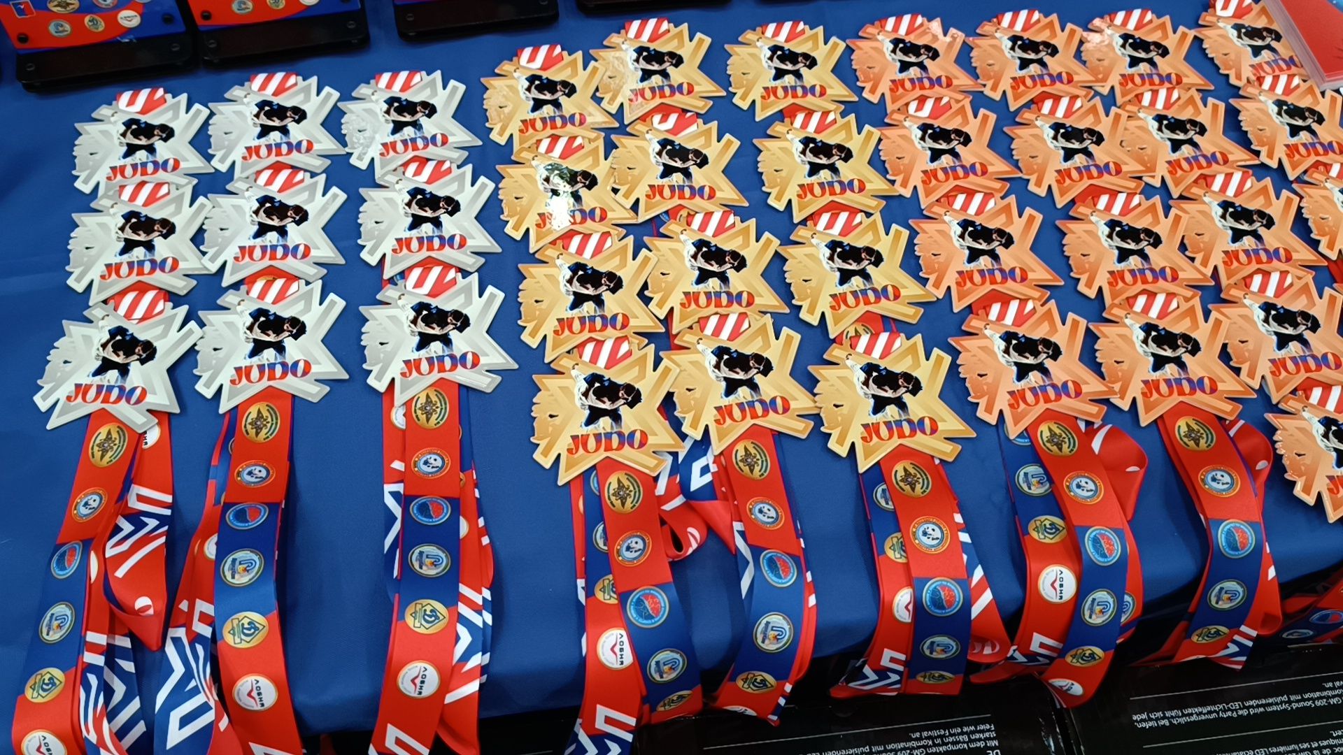 полиция, дзюдо, лобня, вертикалки,