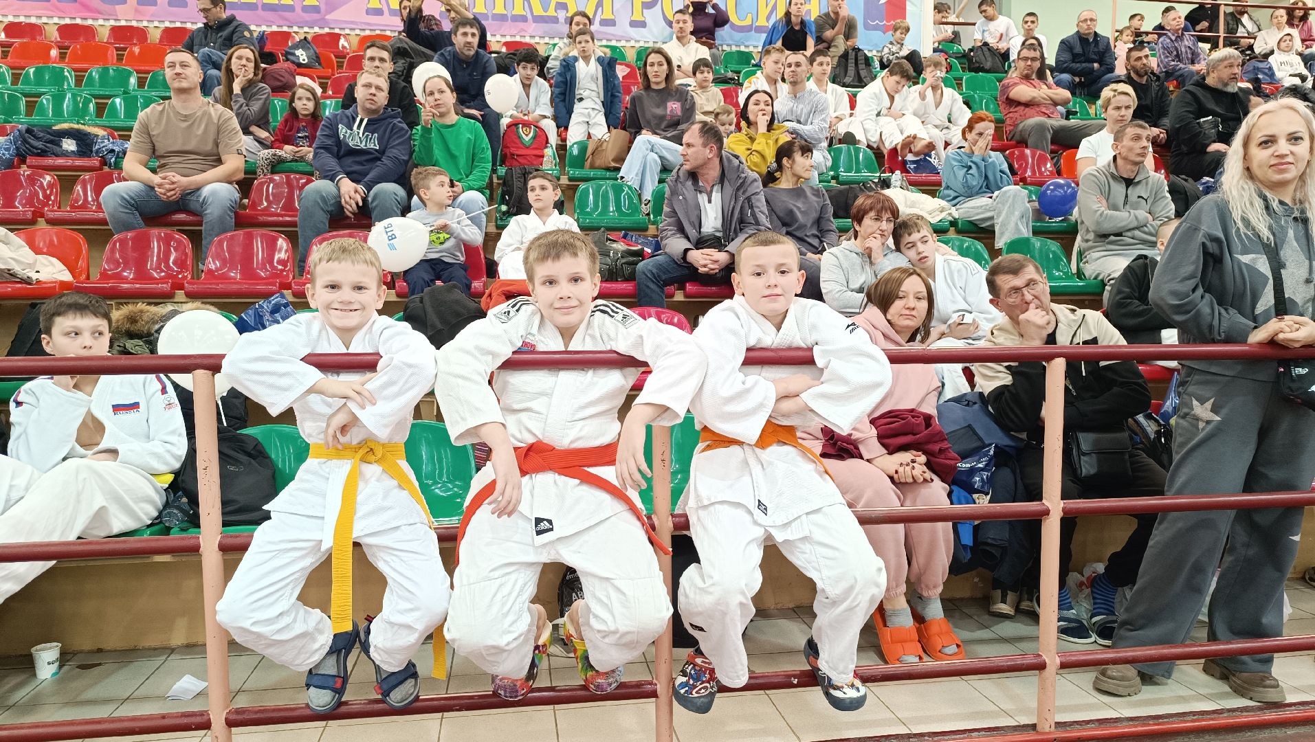 полиция, дзюдо, лобня, вертикалки,