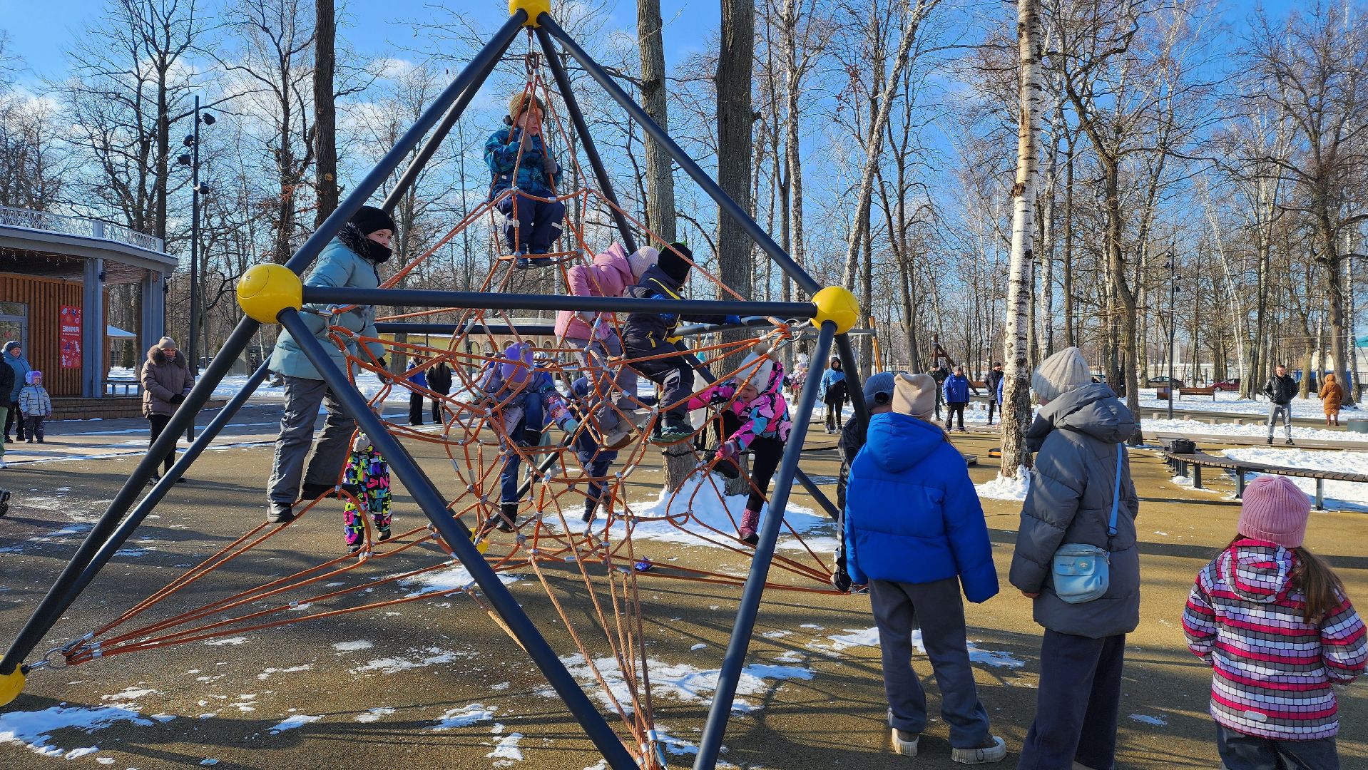 ступино, день защитника отечества, спорт,