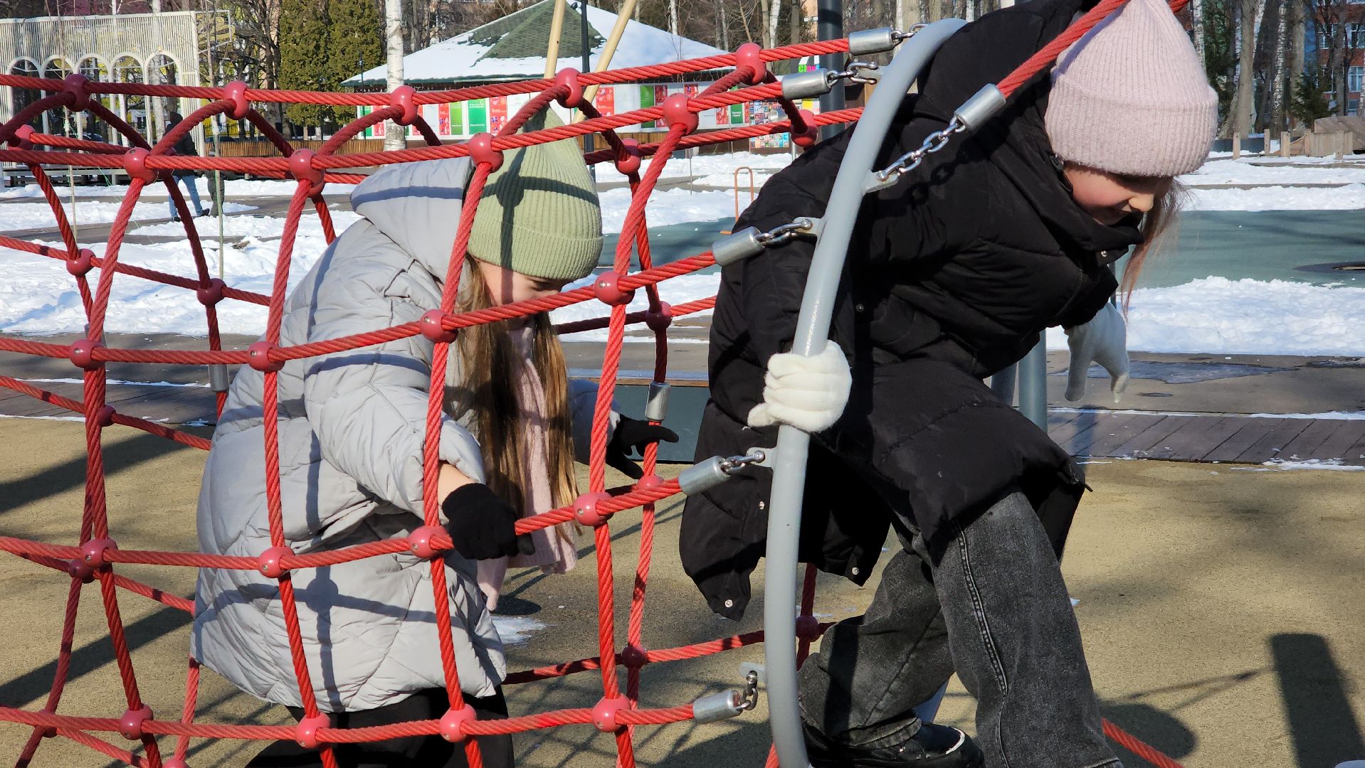 ступино, день защитника отечества, спорт,