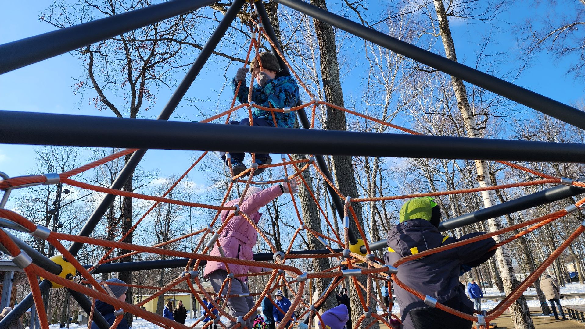 ступино, день защитника отечества, спорт,