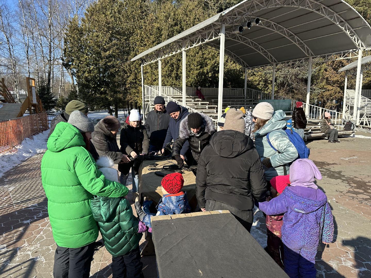 домодедедово, парки домодедово, день защитника отечества,