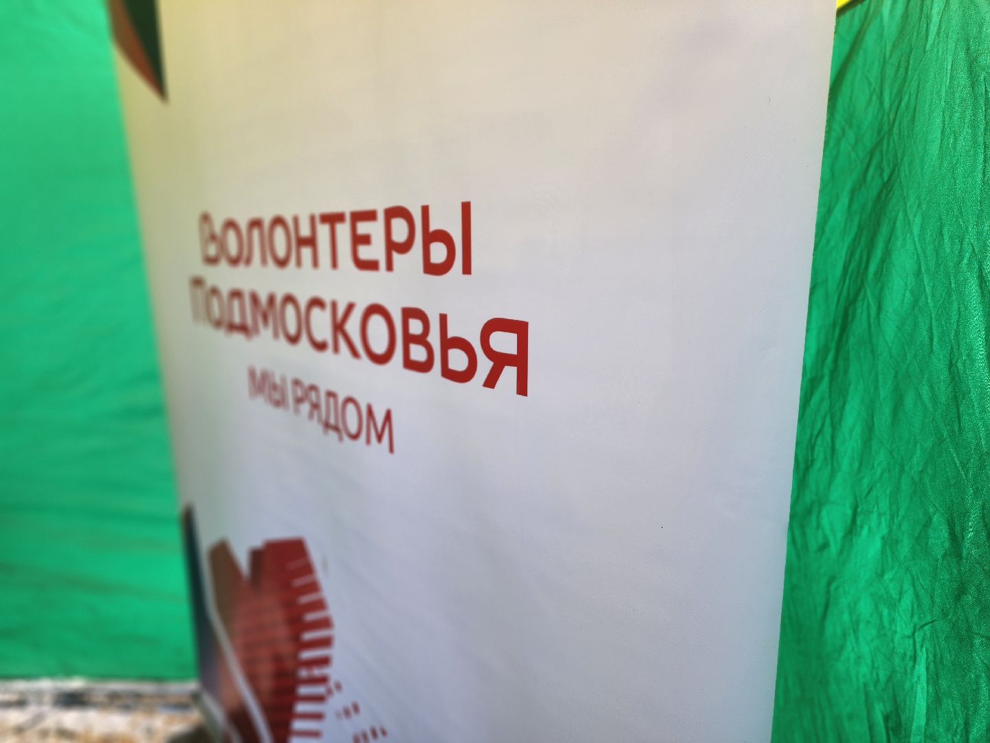 воскресенск, парк кривякино, день защитника отечества,