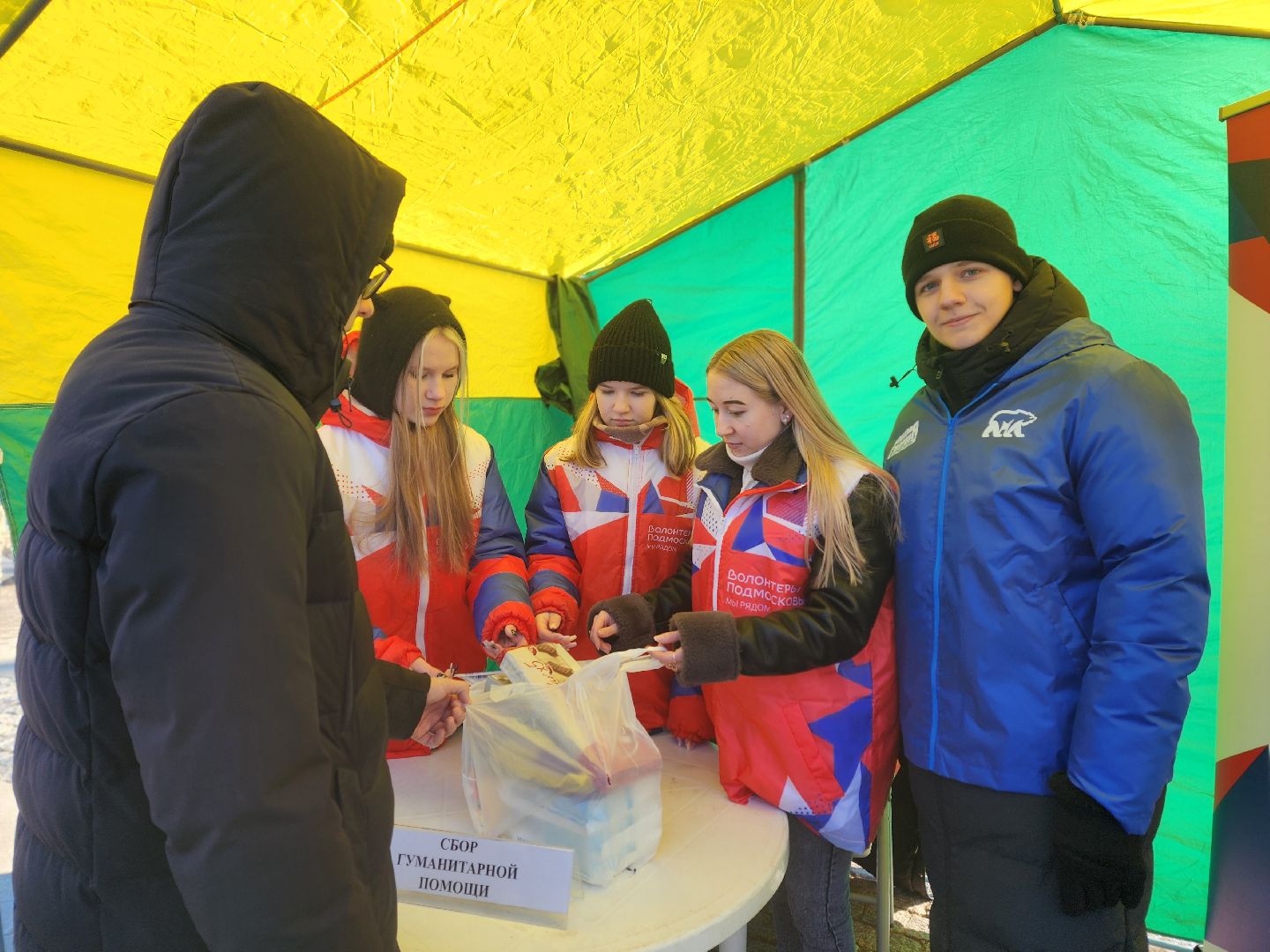 воскресенск, парк кривякино, день защитника отечества,