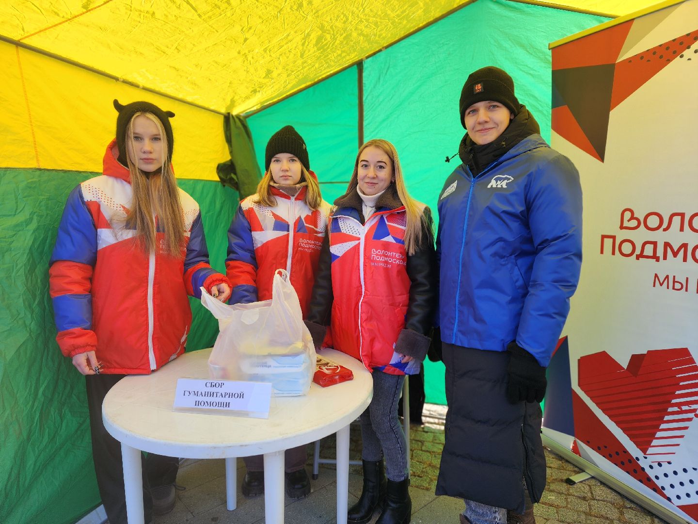 воскресенск, парк кривякино, день защитника отечества,