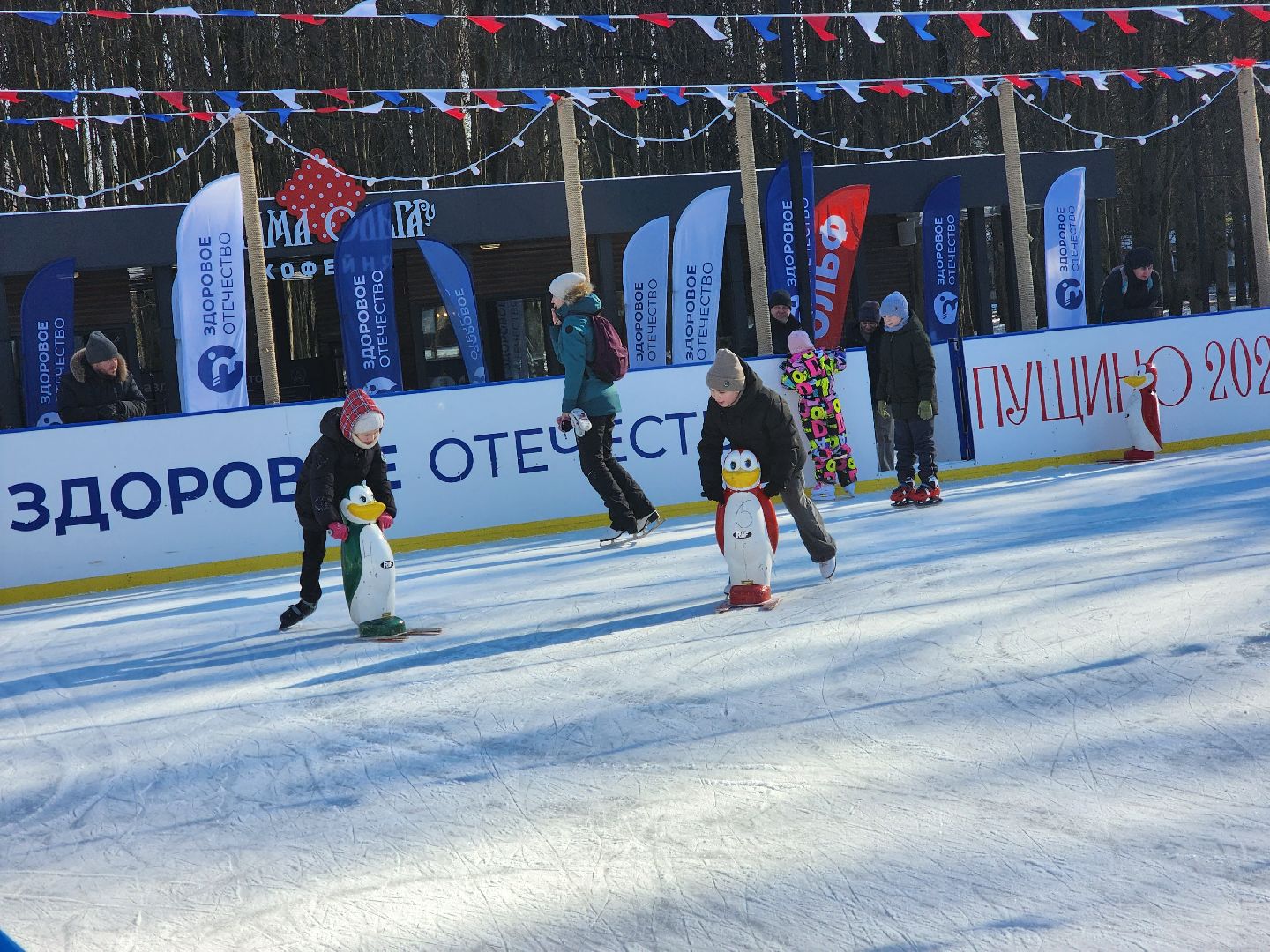 пущино, серпухов, каток,