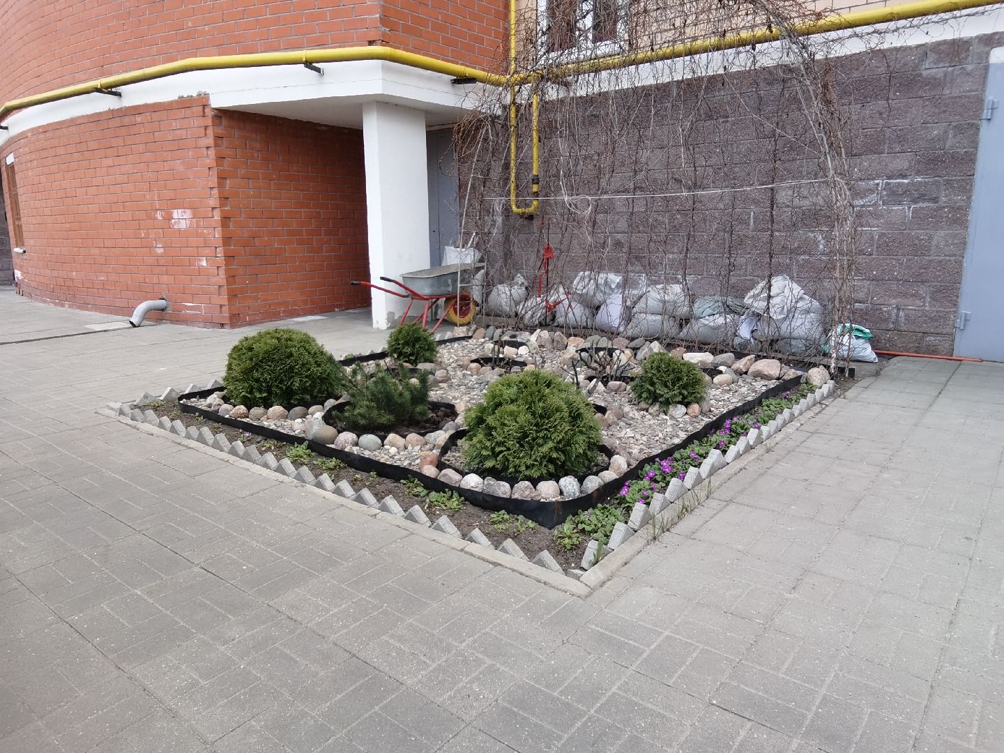 Балашиха, весна, одуванчики, цветы, деревья, растения, ТСН Любимый дом, улица Заречная, содержание территорий