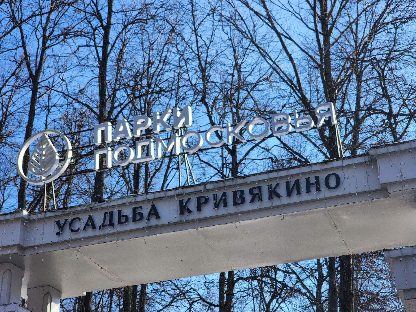 воскресенск, парк кривякино, день защитника отечества,