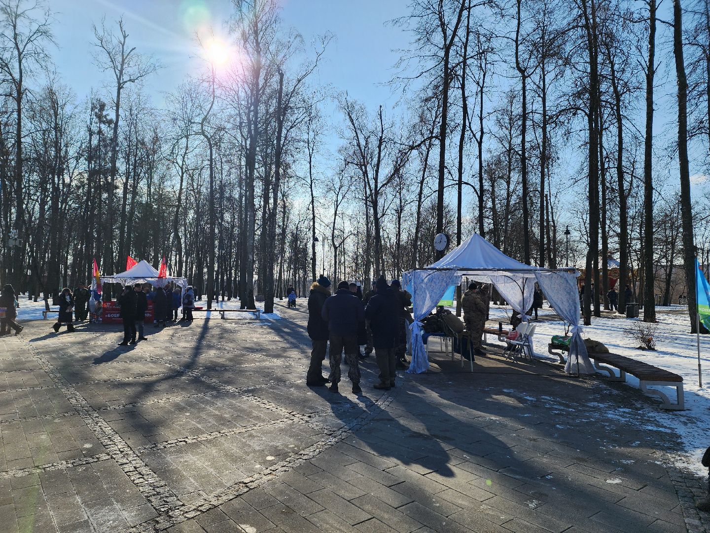 воскресенск, парк кривякино, день защитника отечества,