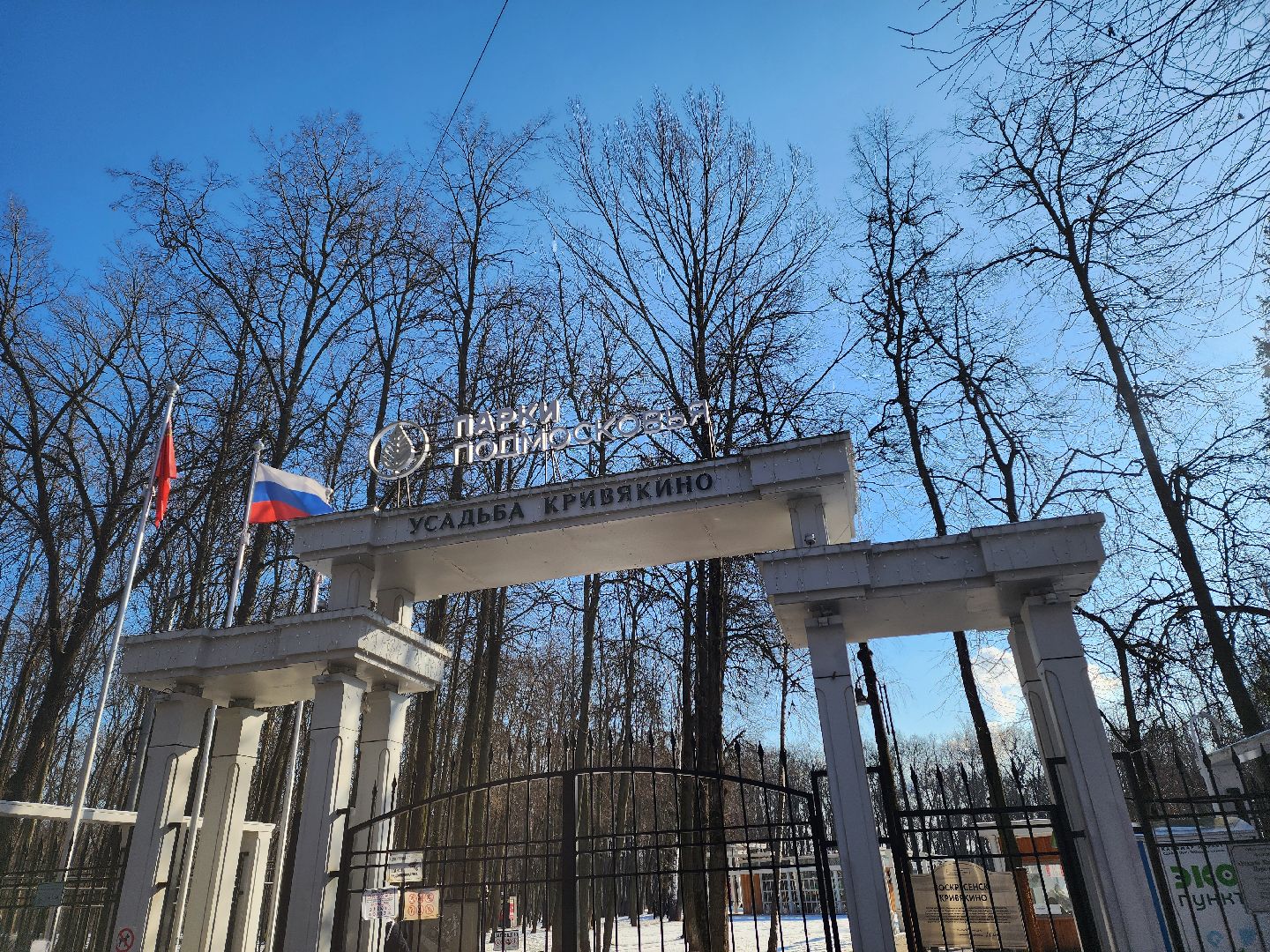 воскресенск, парк кривякино, день защитника отечества,