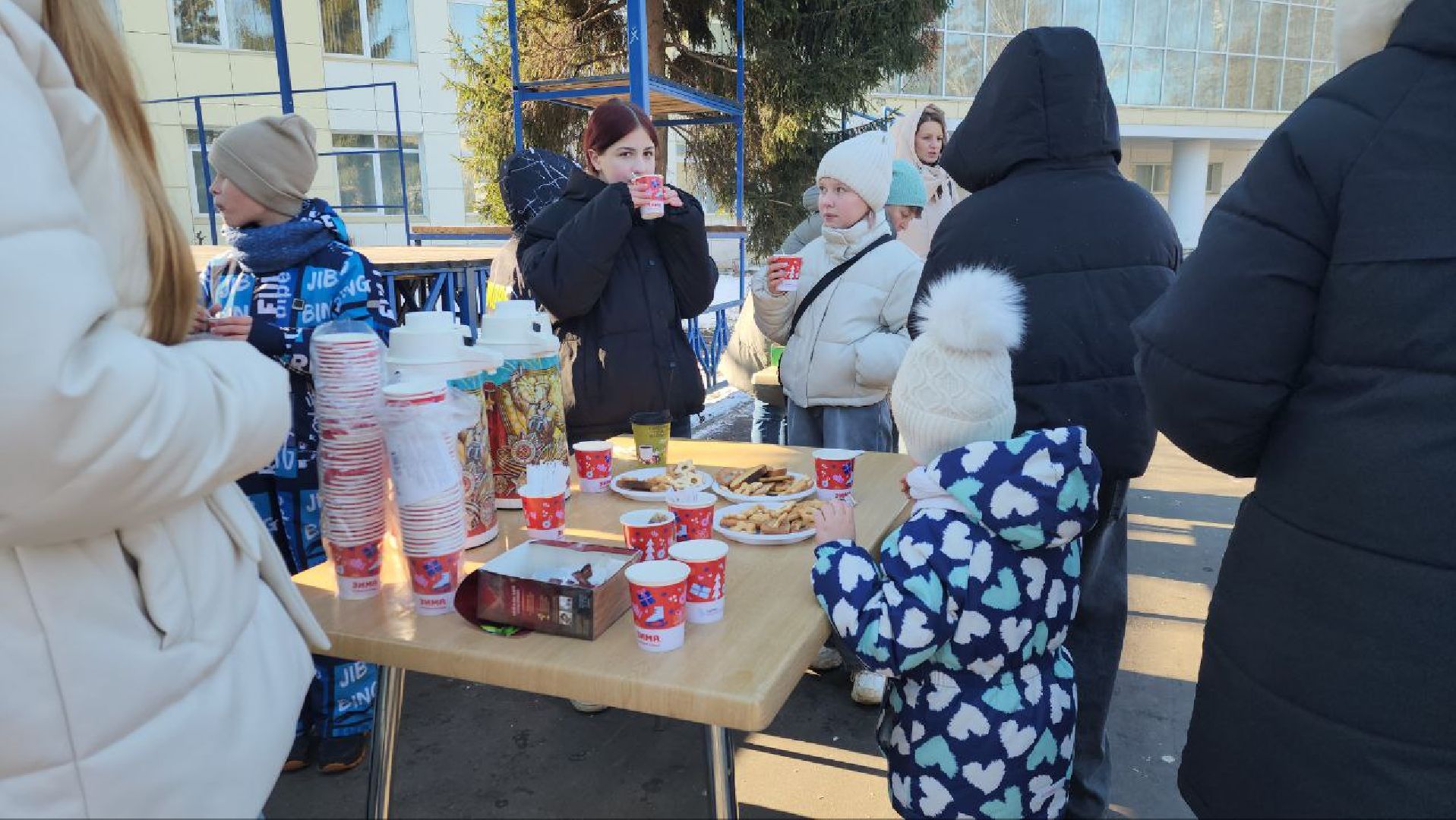 вертикалки, луховицы, парк Воробьева, 23 февраля,