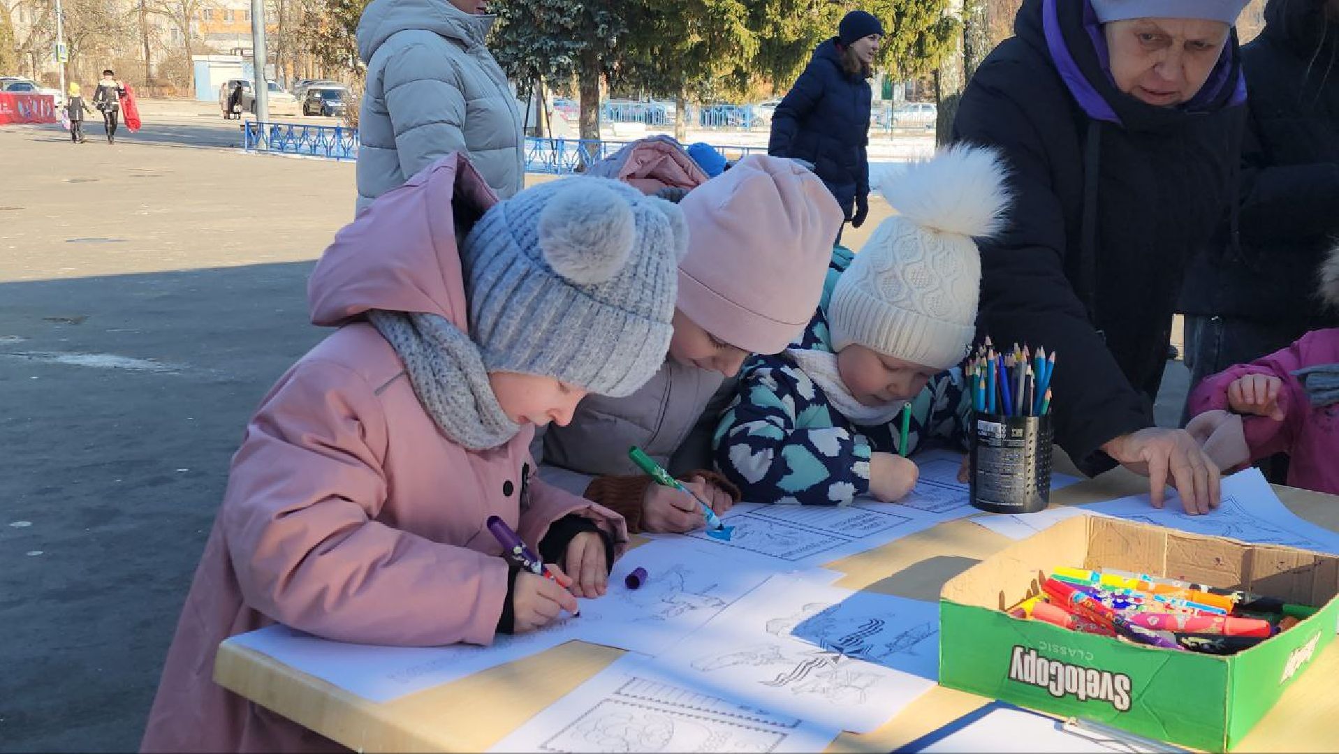 вертикалки, луховицы, парк Воробьева, 23 февраля,