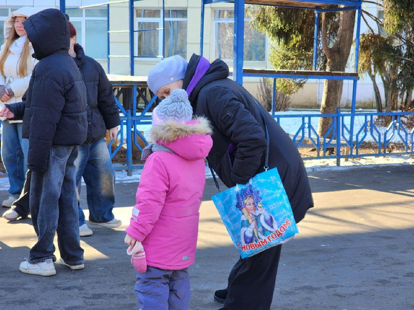 вертикалки, луховицы, парк Воробьева, 23 февраля,