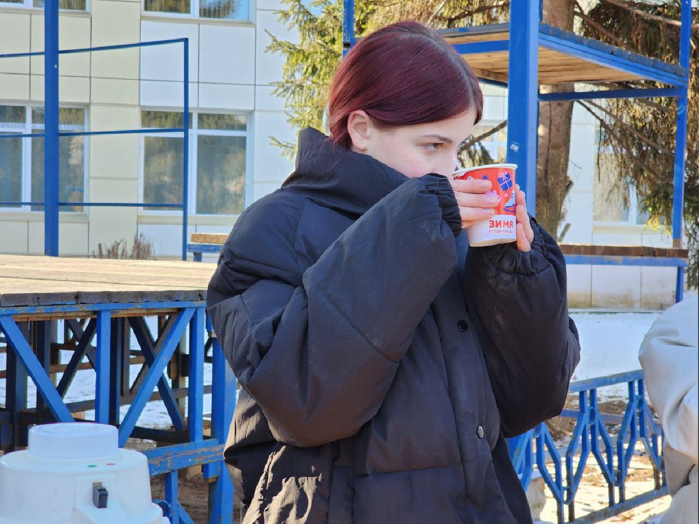 вертикалки, луховицы, парк Воробьева, 23 февраля,