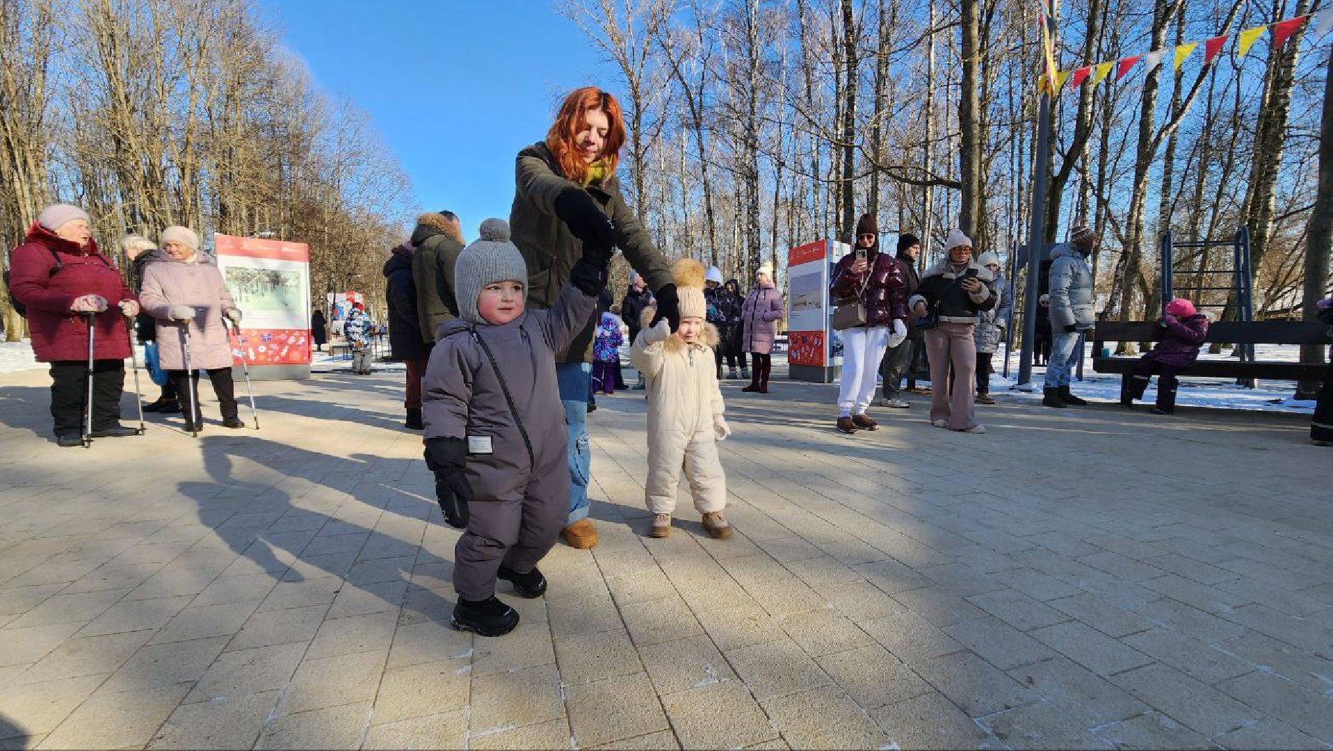 солнечногорск, вертикалки, день защитника отечества,