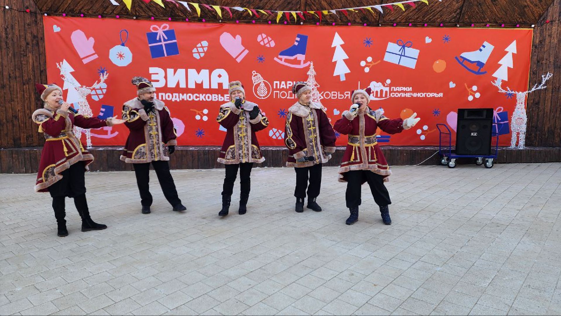 солнечногорск, вертикалки, день защитника отечества,