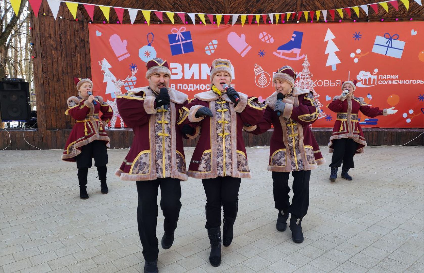 солнечногорск, вертикалки, день защитника отечества,
