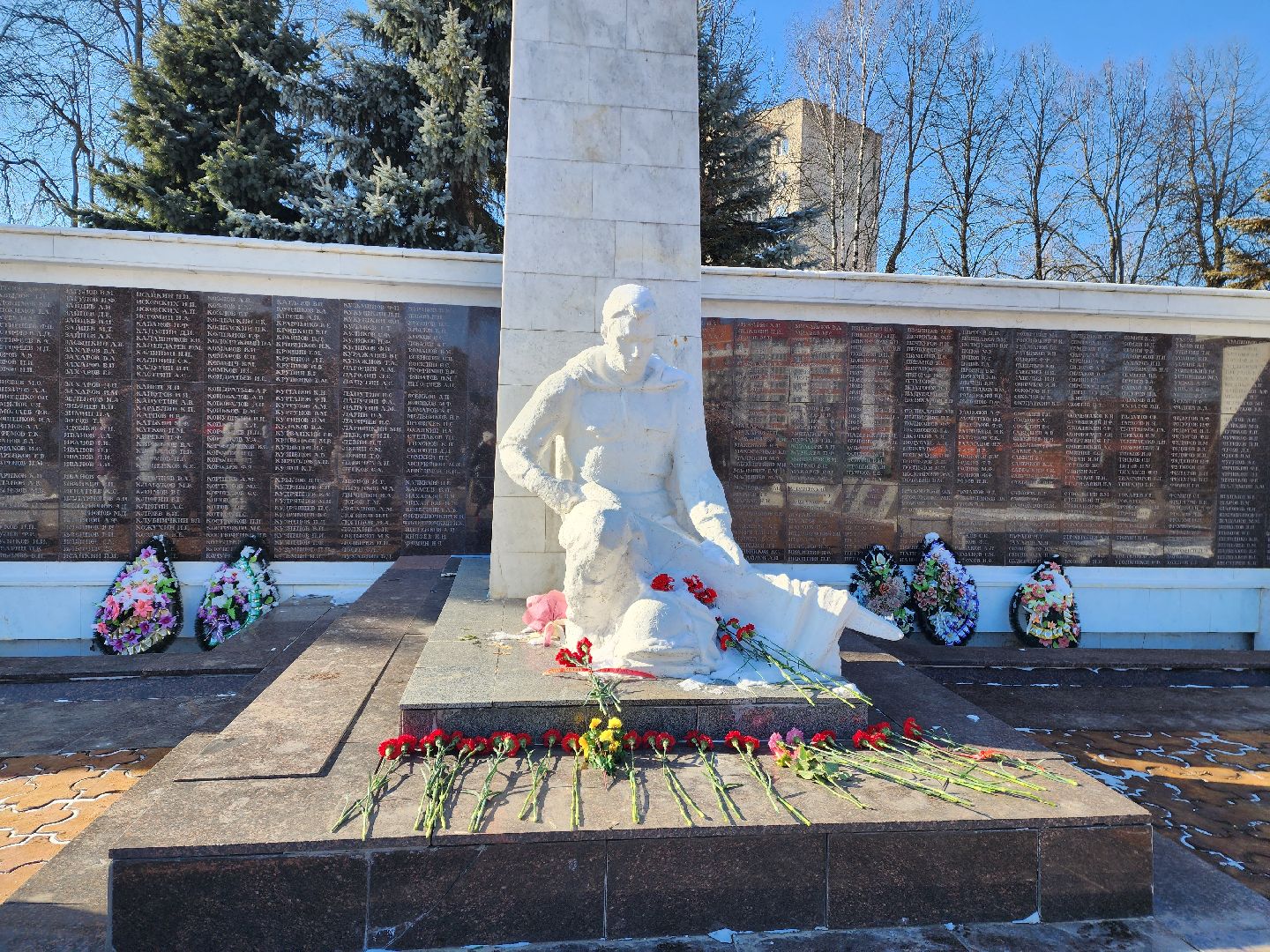 красноармейск, городской округ пушкинский, день защитника отечества, возложение цветов, вертикалки,