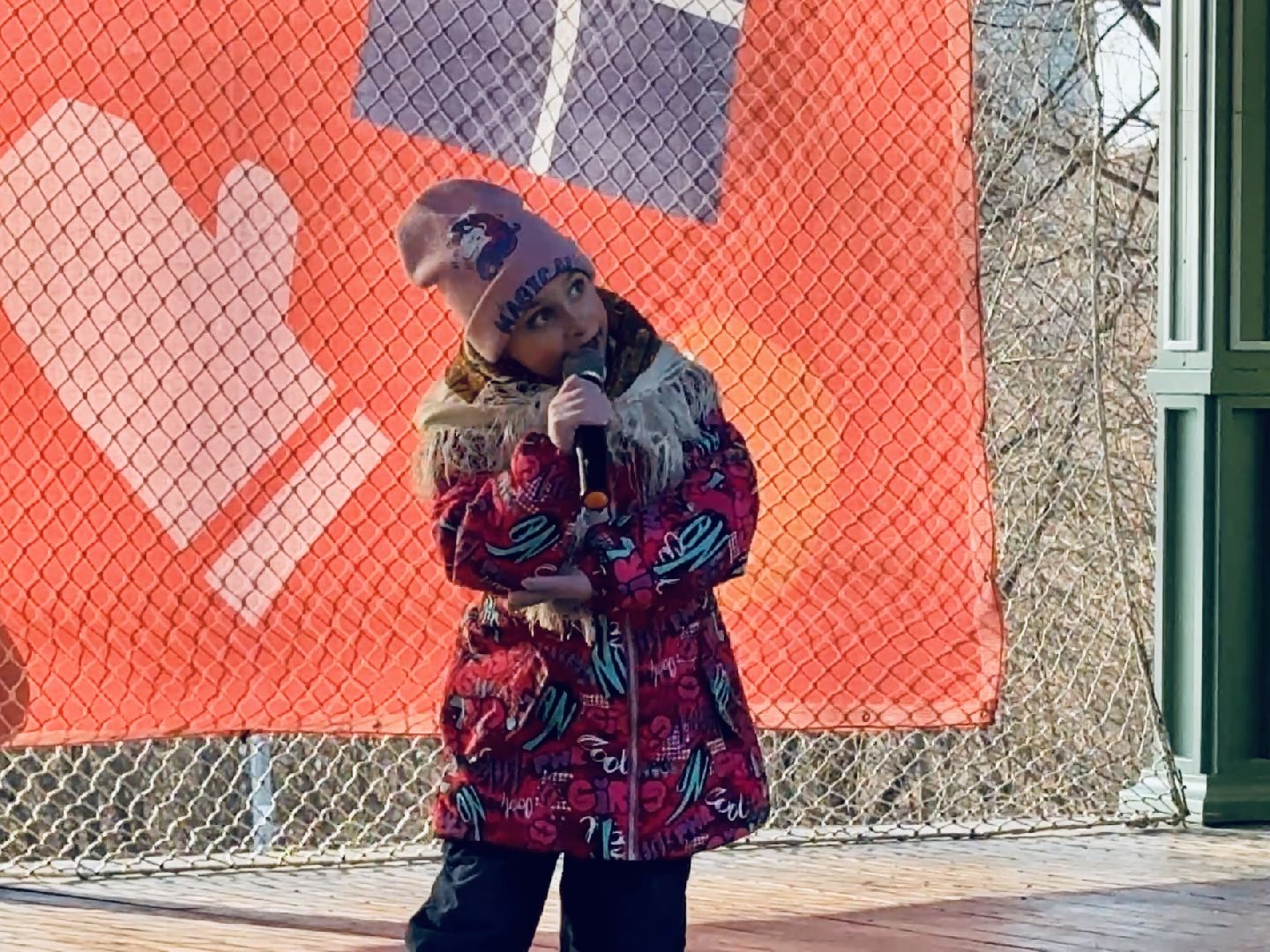 раменское, день защитника отечества, раменский городской парк, концерт,