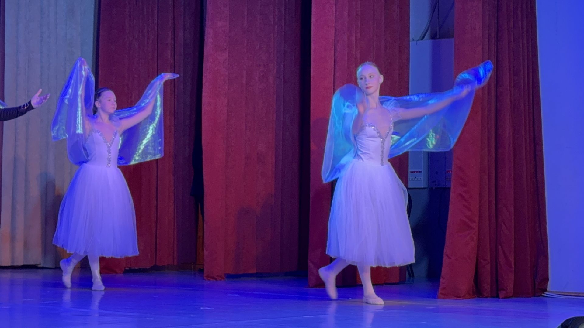 солнечногорск, сольный концерт, мария браво, зрители, день защитника отечества, вертикалки,