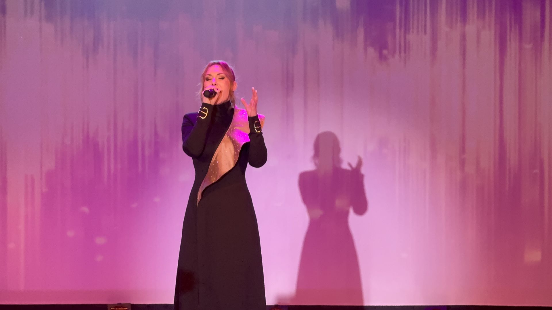 солнечногорск, сольный концерт, мария браво, зрители, день защитника отечества, вертикалки,