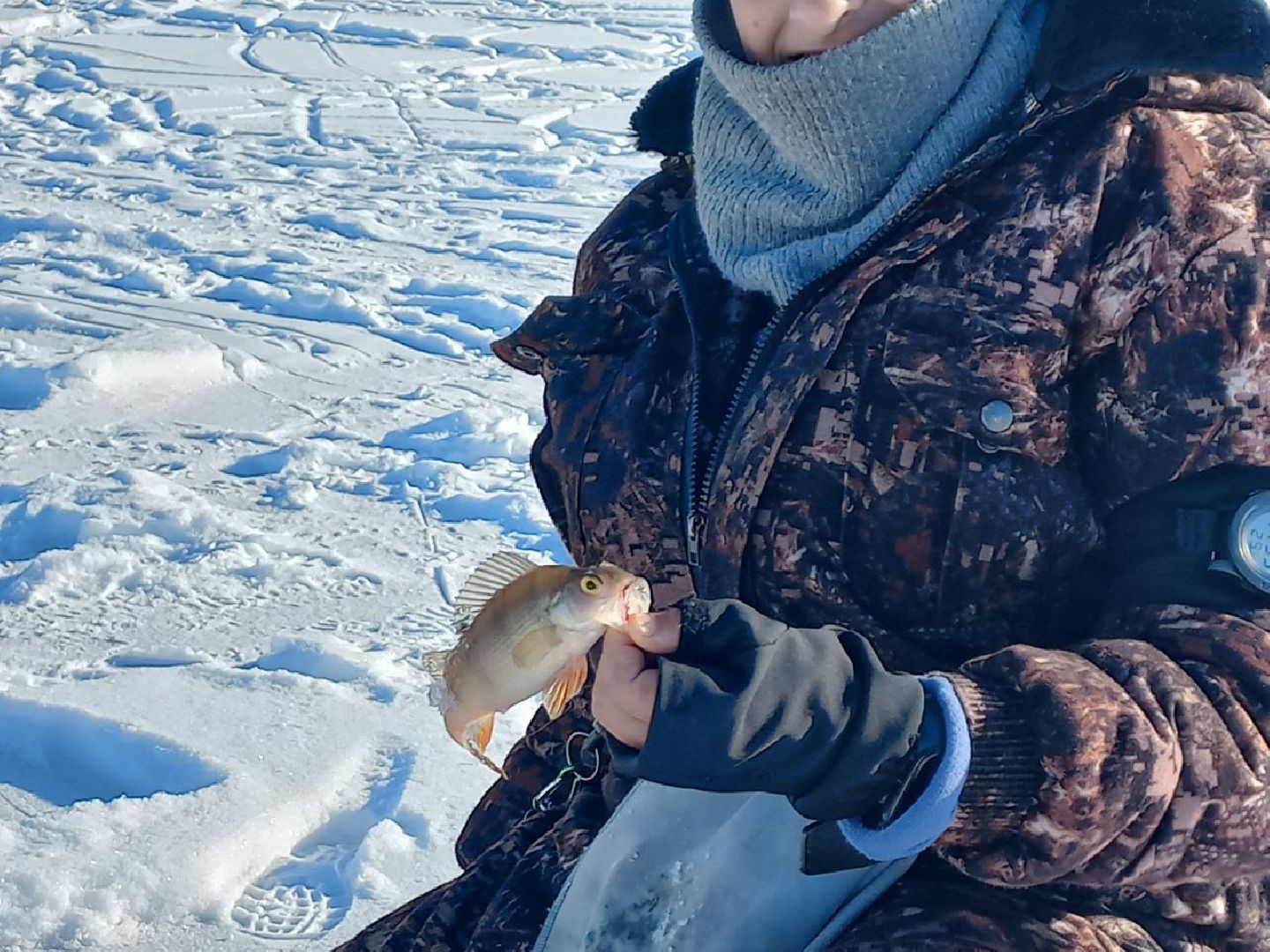 чемпионат москвы, сергиев посад, мормышка, рыболовный спорт, кочевник, морозово, ркс барс,