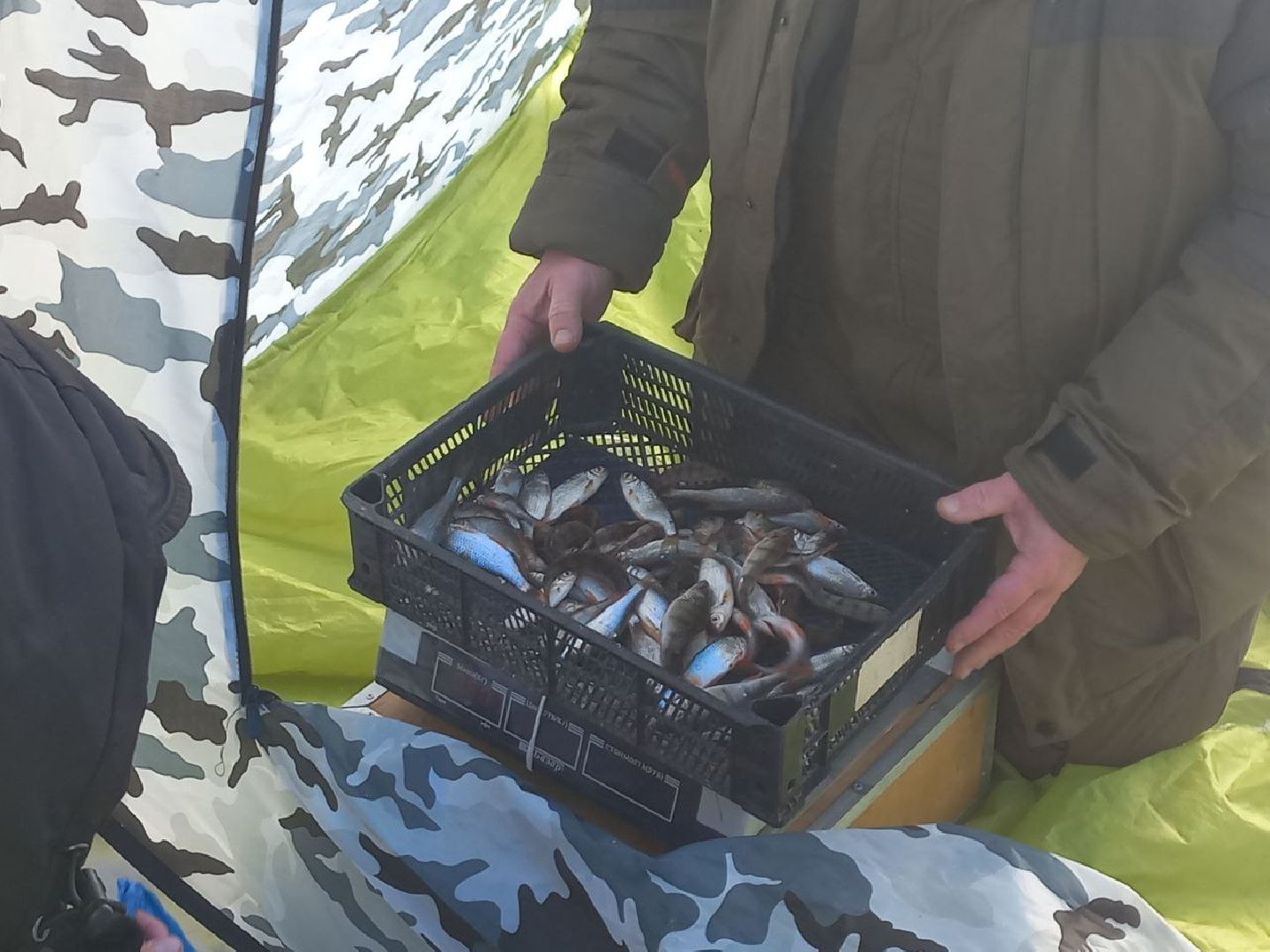 чемпионат москвы, сергиев посад, мормышка, рыболовный спорт, кочевник, морозово, ркс барс,