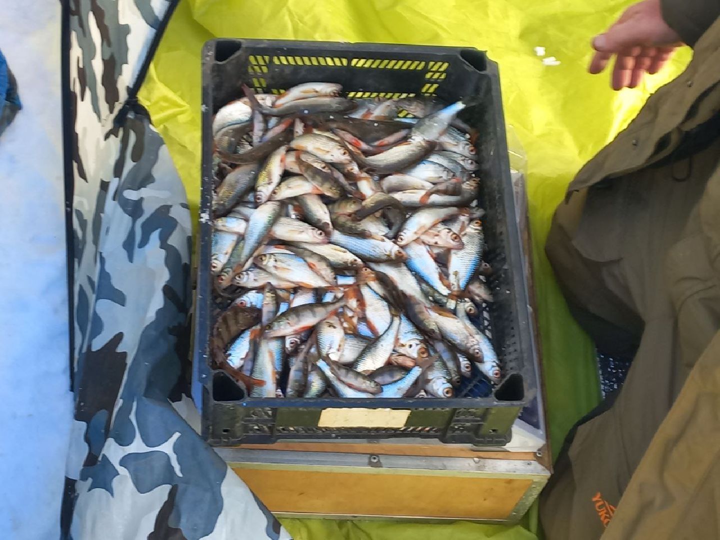 чемпионат москвы, сергиев посад, мормышка, рыболовный спорт, кочевник, морозово, ркс барс,