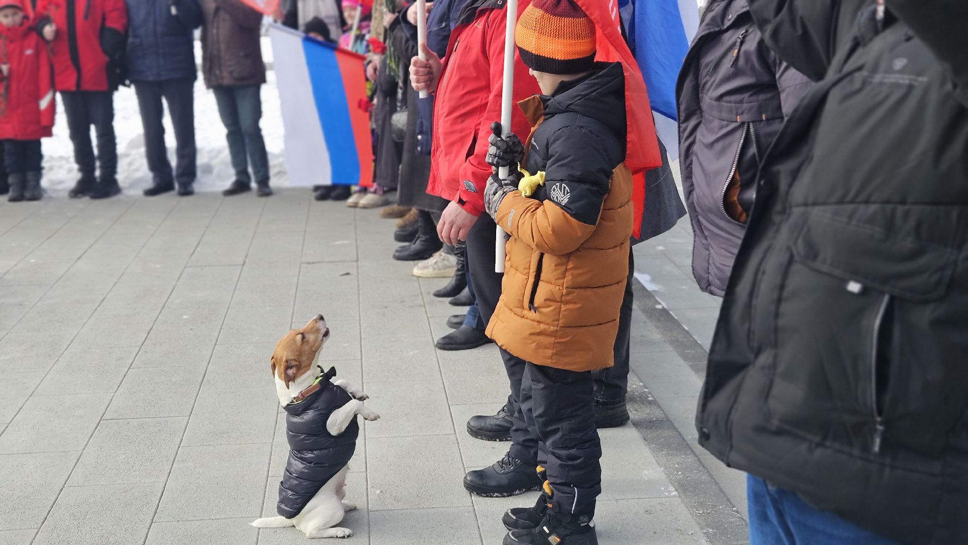 23 февраля, жуковский, митинг,