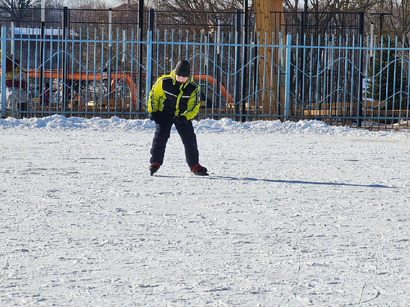 вертикалки, луховицы, каток, 23 февраля,